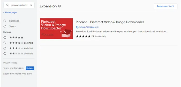 Download a Pinterest Video with a Browser Extension
